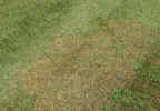 bespoke spanish lawn solutions. real grass lawns. lawn solutions spain. spanish lawn suppliers. spanish lawn providers. green lawns of spain. spanish dream lawns. spanish grass landscapes. green green grass of spain. lawn turf.