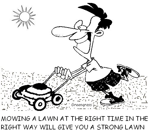 greengrass lawn cartoons, green grass, greengrass
