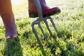 Real grass