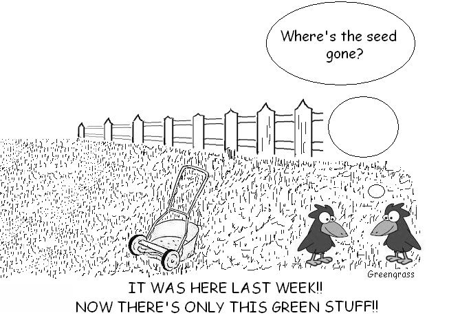 greengrass lawn cartoons, green grass, greengrass