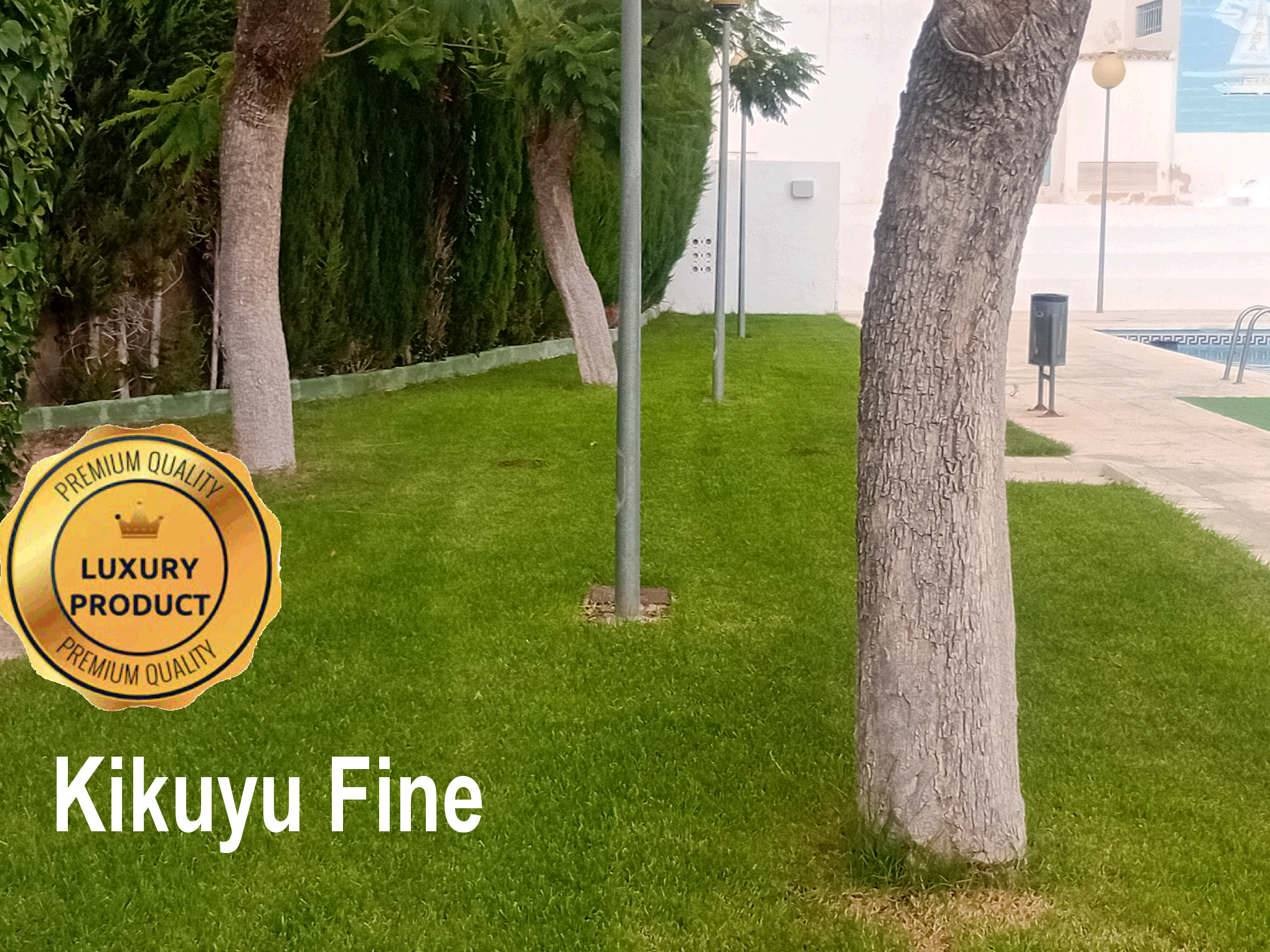 Artificial Grass, Fake Grass, Plastic Grass