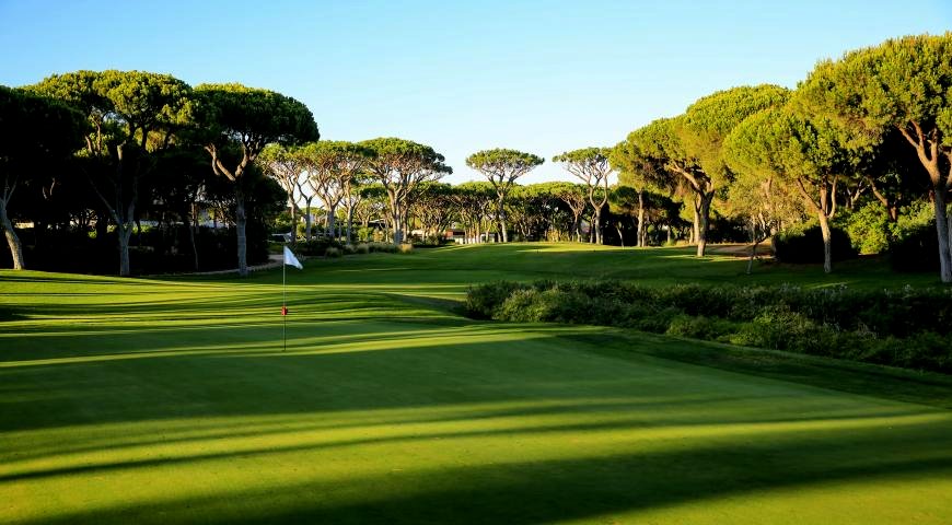 lawns in Portugal