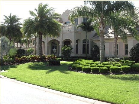 Lawns in Spain