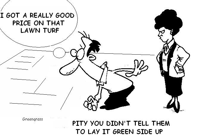 greengrass lawn cartoons, green grass, greengrass