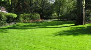 lawn mowing. mowing a lawn. cutting a lawn.