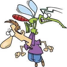 lawn pests.