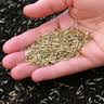 Lawn care products, ant powder, dog repellent, cat repellent