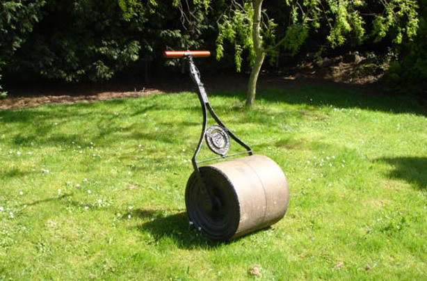 turf grass. turf lawns. turf for lawns. lawn turf. grass turf. turf.