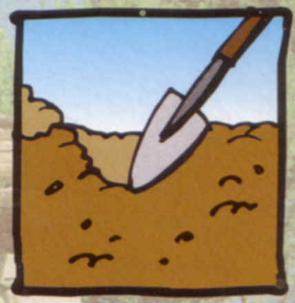 planting a new lawn. laying a new lawn. making a new lawn.