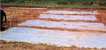 Soil test, soil test by post, soil analysis