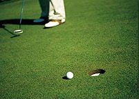 putting green lawn. putting green. putting greens. putting. back lawn putting green. putting green lawn.