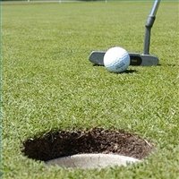 putting green lawn. putting green. putting greens. putting. back lawn putting green. putting green lawn.