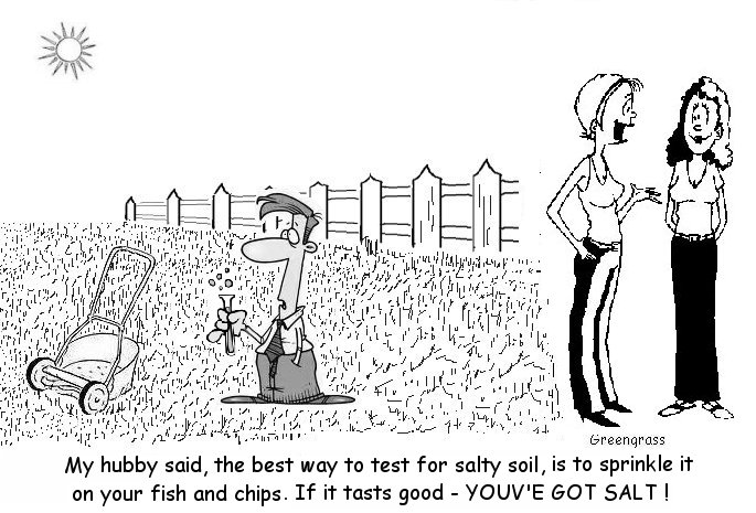 greengrass lawn cartoons, green grass, greengrass