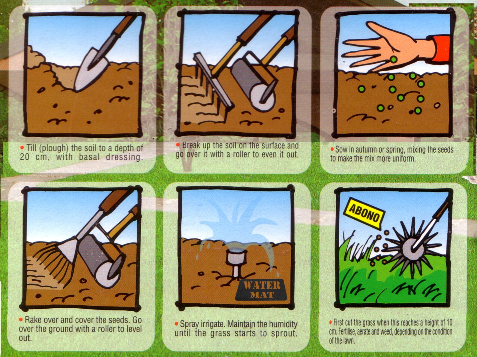 types of lawn grasses. lawn grass.