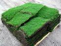 turf grass. turf lawns. turf for lawns. lawn turf. grass turf. turf.