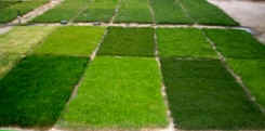 Lawn Care Products shop on-line