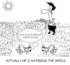greengrass lawn cartoons, green grass, greengrass