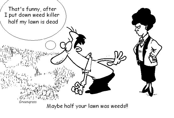 greengrass lawn cartoons, green grass, greengrass
